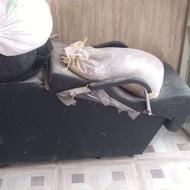 سرشور عالی همه چی سالم