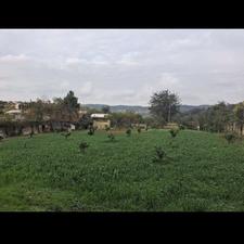 فروش زمین سیف کتی