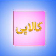 کالاپی (نقد کردن آنی) حضوری و غیر حضوری