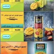 فروش محصولات سانی نس سان استار دلستر ساندیس