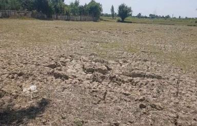 841متری باغ در جای ارام
