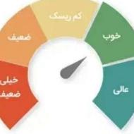 ضامن رتبه Cچک دار و Aچک دار هستم