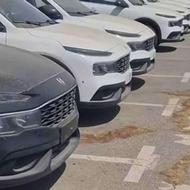 ری را، فروش دولتی