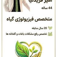 قبل از هزینه اول مشکل باغ و درختان را پیدا کنید