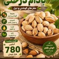 بادام سنگی سیر مغز