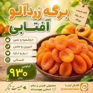 برگه زردالو افتابی
