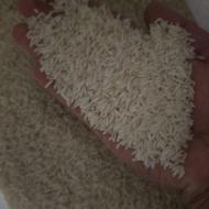 برنج طارم هاشمی بابل