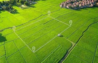 خریدار زمین کشاورزی 4 تا 5 هزار متر در بابل هستیم