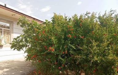 خانه ویلایی برای رهن