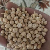 خرید نخود آشی