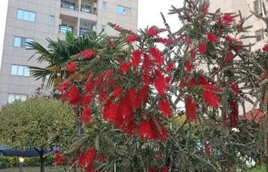 شهرک قصر دریا فرنیش