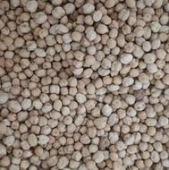 حبوبات نخود فلافلی و ابگوشتی