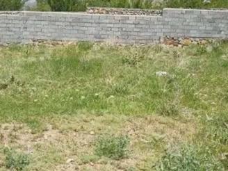 زمین در روستای زیارتی امامزاده عبدالله .باغملک