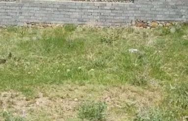 زمین در روستای زیارتی امامزاده عبدالله .باغملک .به متراژ