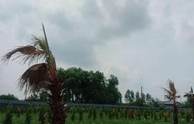زمین مسکونی 190 متر در چهارمحل آهی خوش قیمت