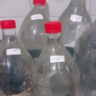 گلاب گل محمدی