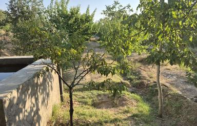 باغ با انواع درختان میوه
