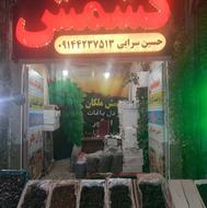 کشمش ارزان شده . قیمت باورنکردنی