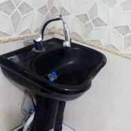 سرشورمشکی ایستاده