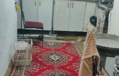 خونه باغ روستایی تمام درختان داخل باغ کاشته و محصول ده هست