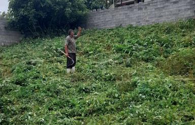 340 متر زمین واقع در روستای تلاوک دودانگه ساری