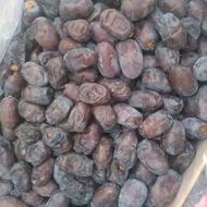 فروش خرما جنوب