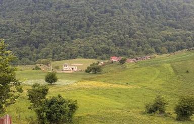 فروش زمین 200 متری سوادکوه