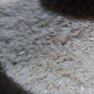 برنج طارم قراقیل