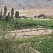 فروش زمین کشاورزی 2800 متر در ارجمند