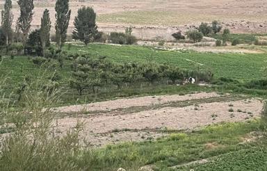 فروش زمین کشاورزی 2800 متر در ارجمند