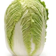 کاهو چینی مخصوص کیمچی
