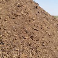 کود گاوی خشک و پوسیده