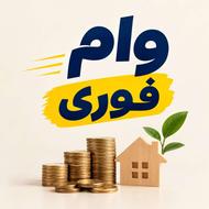 وام و نقدینگی