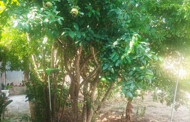 زمین 341متر خونه ویلایی 105متر