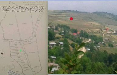 485 متر زمین در نکا ، روستای سیکا