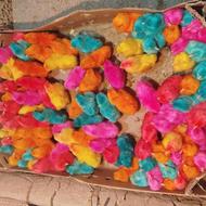انواع جوجه 5روزه