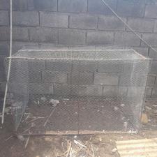 قفس پرنده یا جوجه