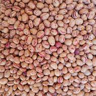 لوبیا چیتی درجه 1