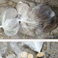 سکه جمهوری وشاهی