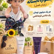 نماینده و مشاوره شرکت pmlm