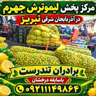 بزرگترین عرضه کننده لیموترش جهرم، برادران تندرست