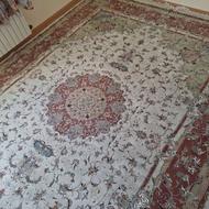 فرش 9 متری نگین مشهد