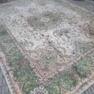 سوختگی نداره ولی یکی دو جاش زده داره