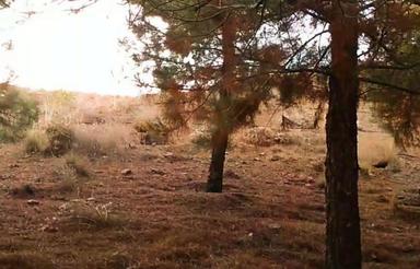 500 متر زمین واقع در روستای هلجرد_فوری زیر قیمت