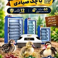 دستگاه جوجه کشی دماوند با چک صیادی برای غاز و اردک بخر