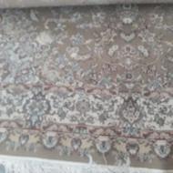 فرش 9 متری زمرد مشهد