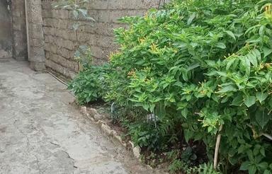 خانه ویلایی 140 متری
