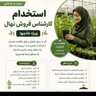 ادمینهای فروش نهالستان نیازمندیم بدونه حاشیه برای خودت کارکن