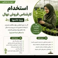 ادمینهای فروش نهالستان نیازمندیم بدونه حاشیه برای خودت کارکن