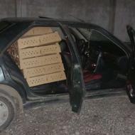 جوجه گوشتی راس تضمینی